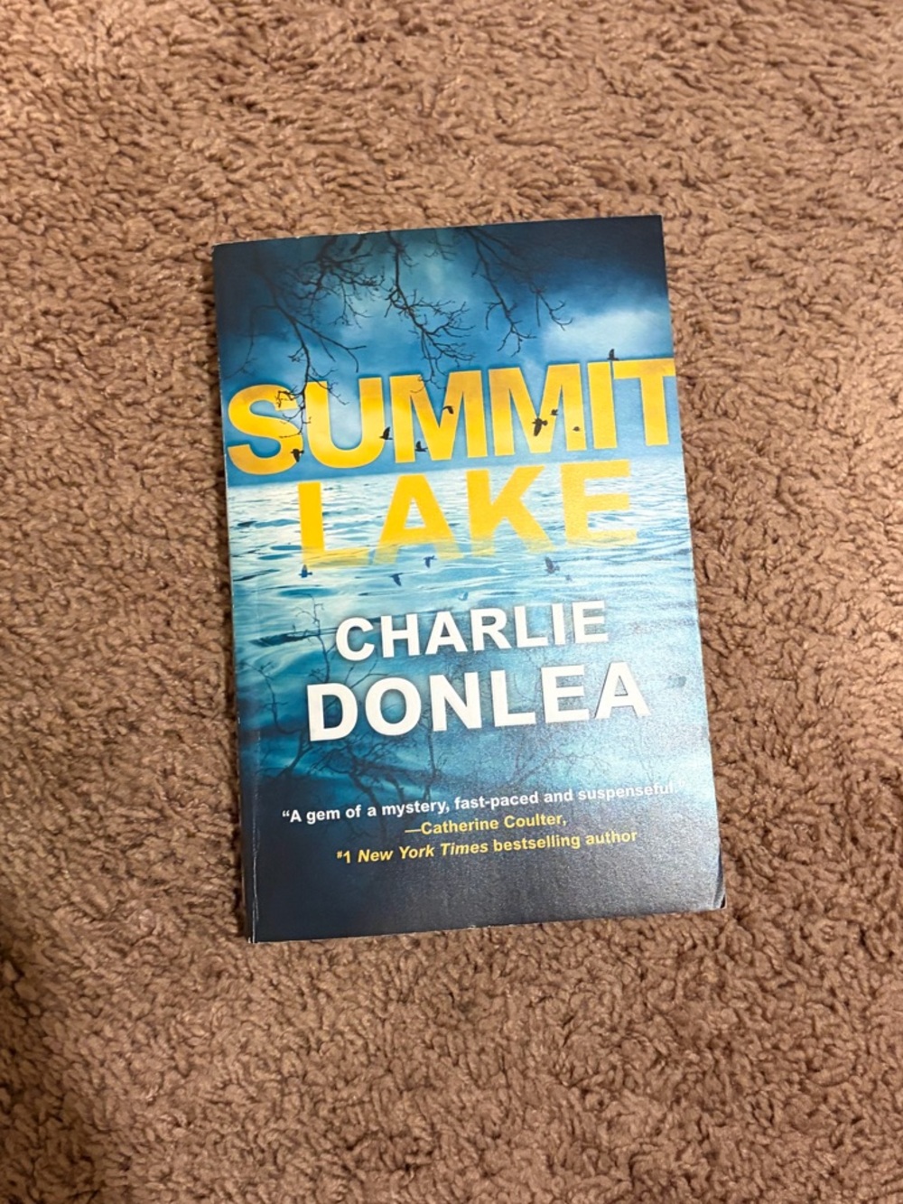 Summit Lake by Charlie Donlea